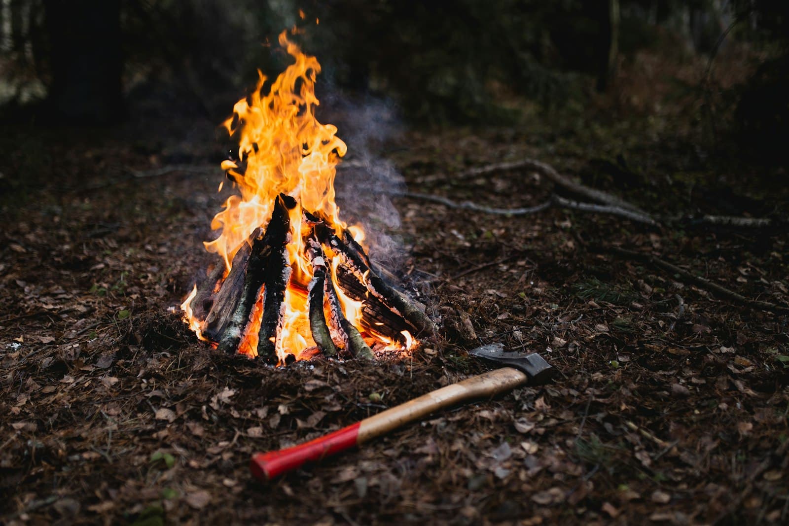 Fall Camping in the Mississippi Bluffs: Why September and October Are the Best Months
